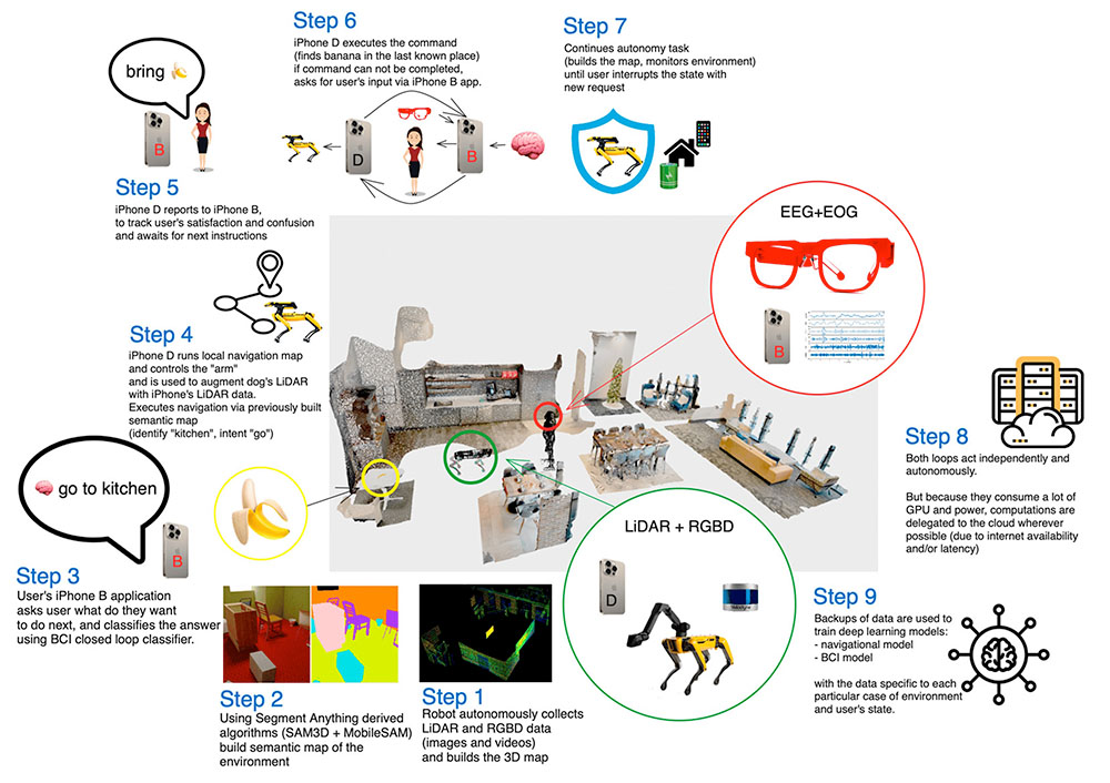 Ddog overview.