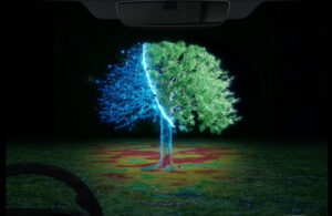 Tree seen with typical thermal imaging and with HADAR.