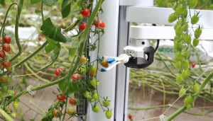 Root AI raises seed funding for Virgo robot, designed to harvest multiple crops